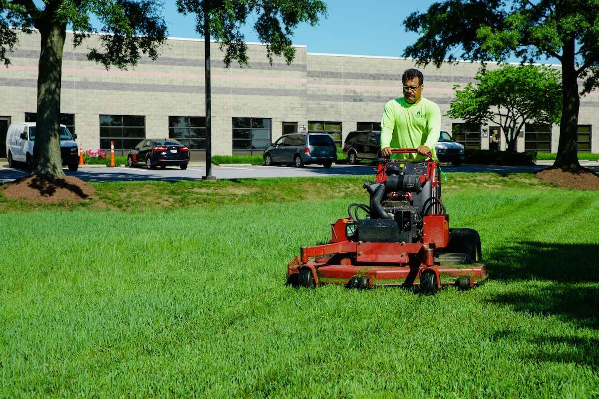 Grass Cutting